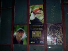 �i�C�g�T�t�@�� �Ŕ�