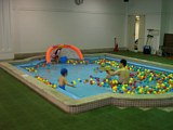 子ども用プールにボールが浮かんでいました